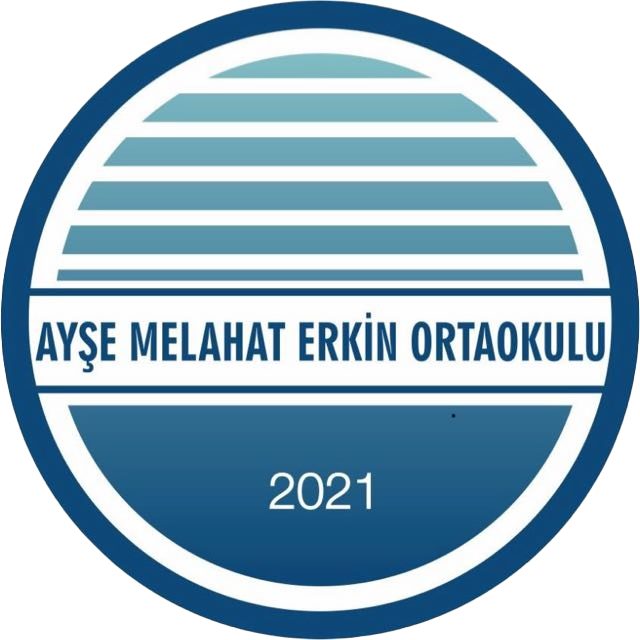 AMEO Logo